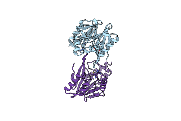 2YNV image