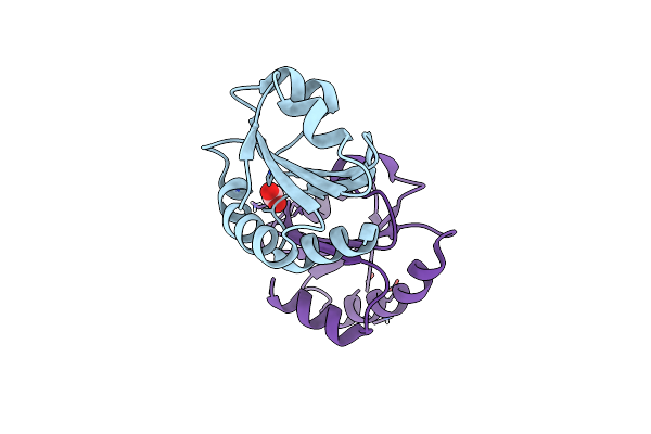 2YNX image