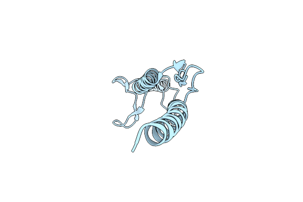 2YO2 image