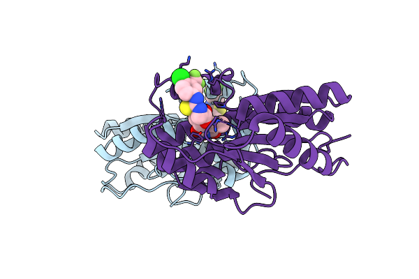 2YOG image
