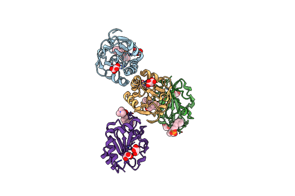 2YP6 image