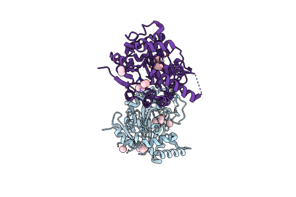 2YPD image
