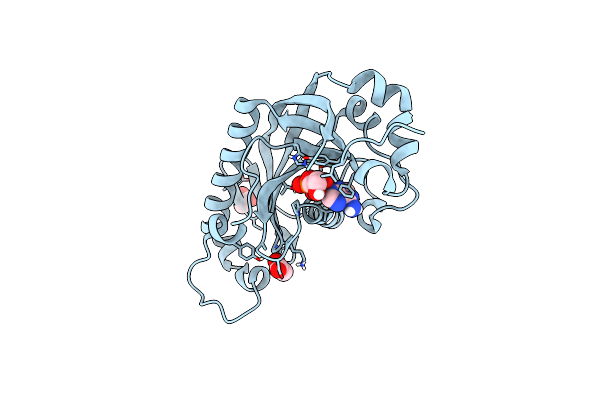 2YPE image