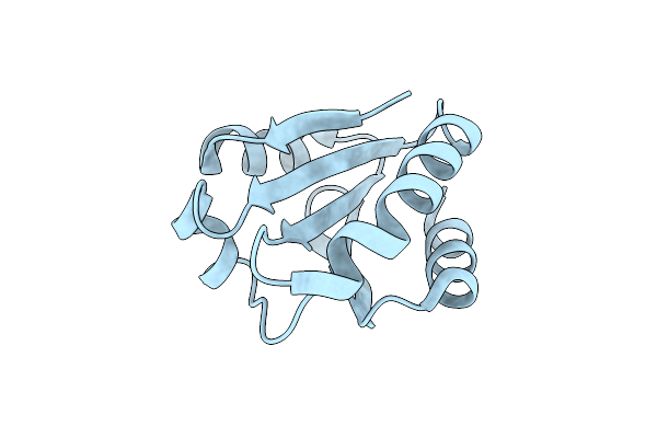 2YPM image