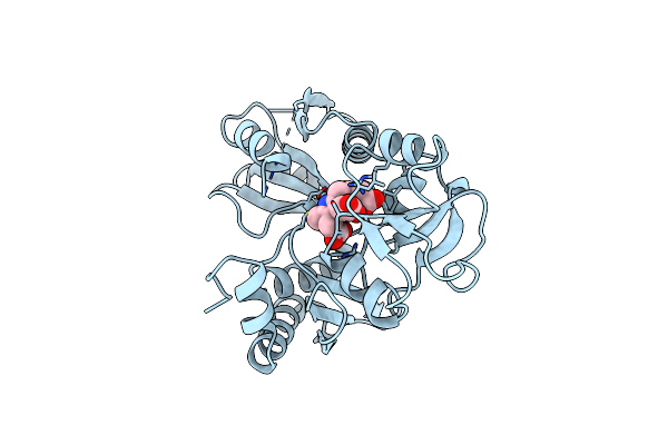 2YPN image