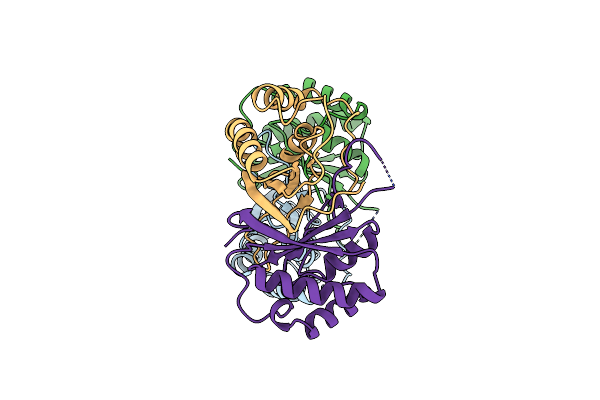 2YQ1 image