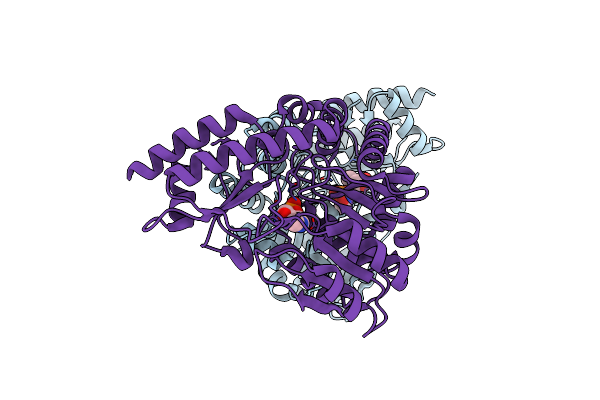 2YRI image