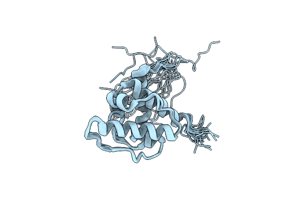 2YRN image