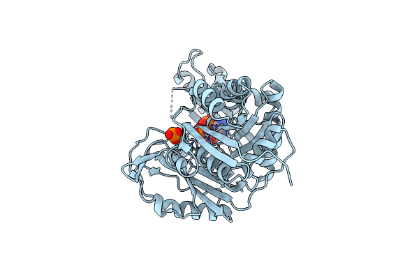 2YRX image