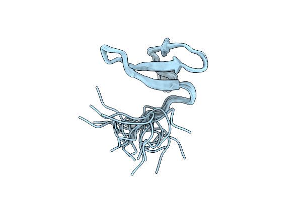 2YSF image