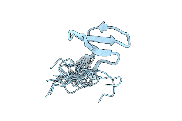 2YSG image