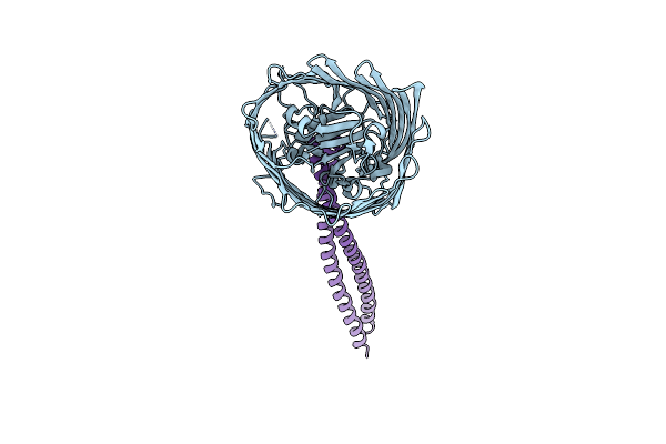 2YSU image