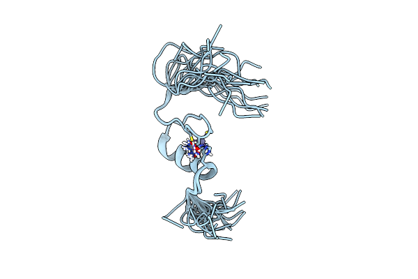 2YTB image