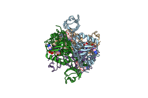2YVL image