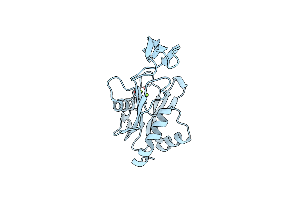 2YVM image
