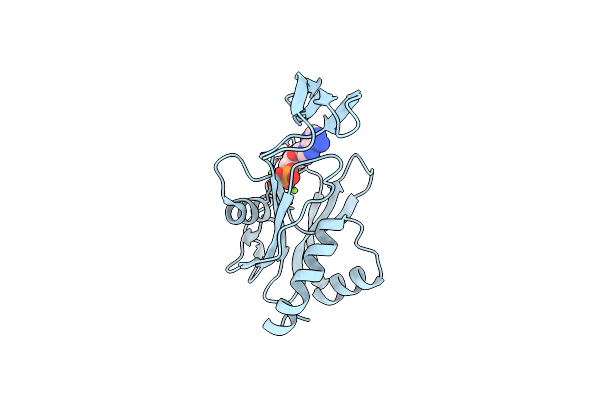 2YVO image