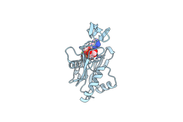 2YVP image