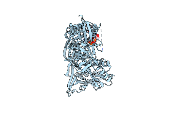 2YWH image