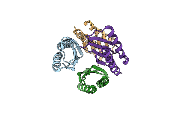 2YWQ image