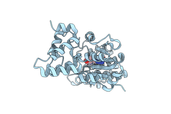 2YXN image