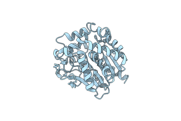 2YXP image