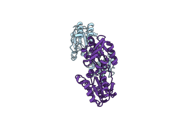 2YYB image