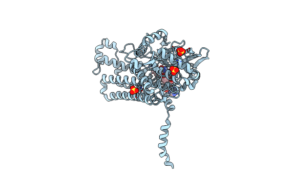 2YYM image