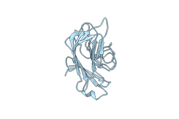 2YYO image