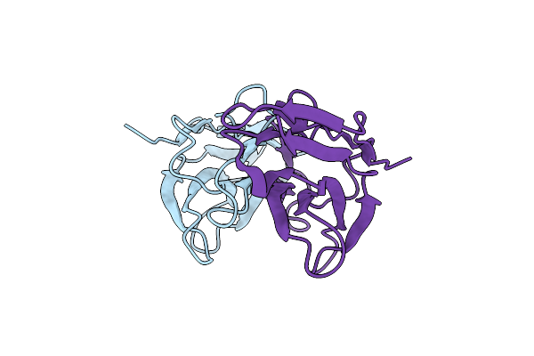 2YZ1 image