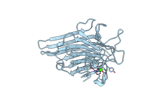 2YZ4 image