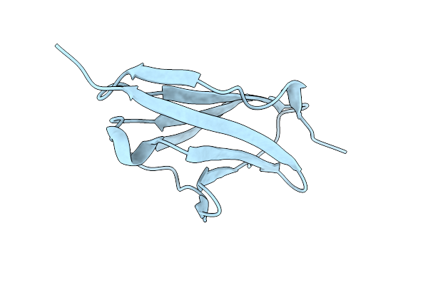 2YZ8 image