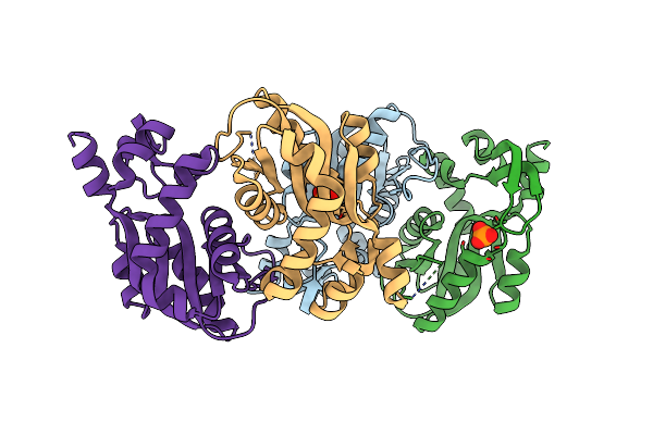 2YZK image