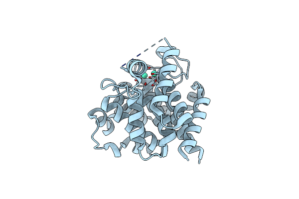 2YZW image
