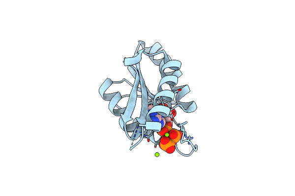 2Z08 image