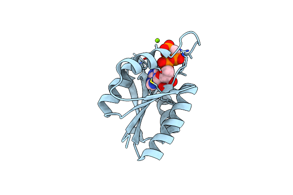 2Z09 image