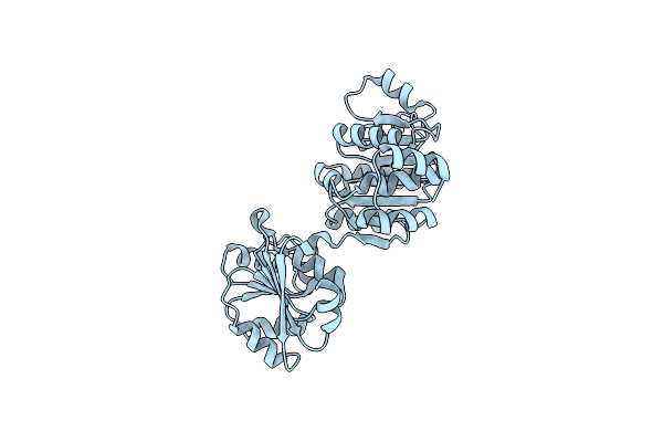 2Z0M image
