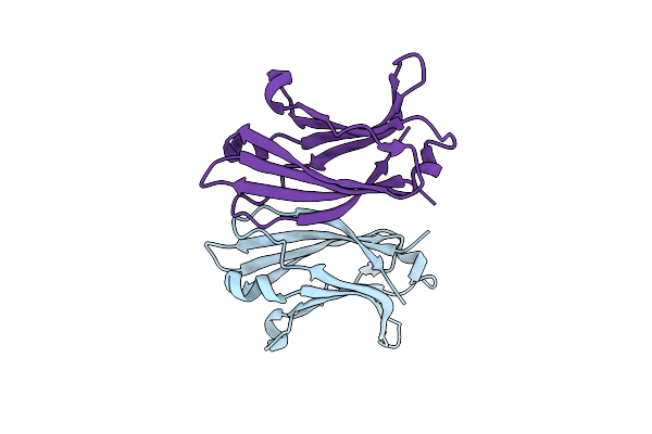2Z0U image