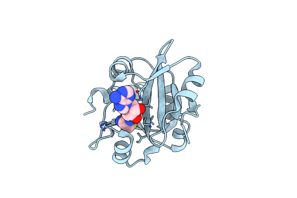 2Z0X image
