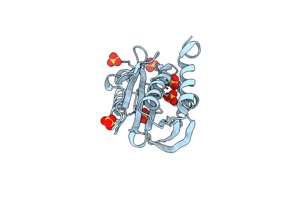 2Z0Z image