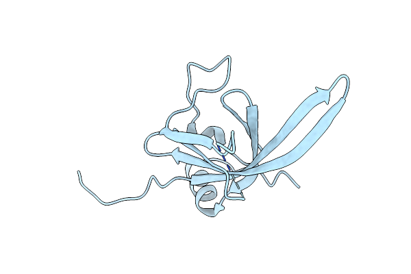2Z13 image