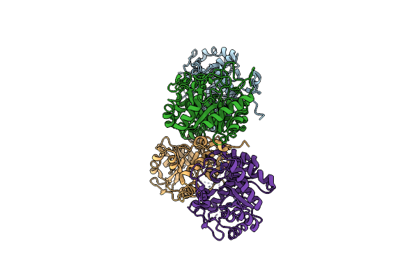 2Z1B image