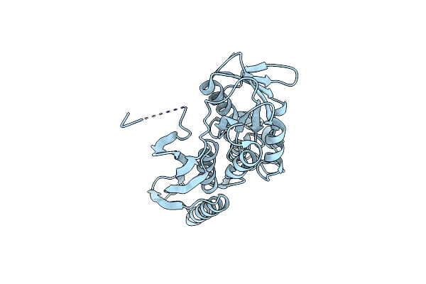 2Z1E image