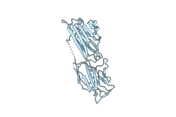 2Z1P image