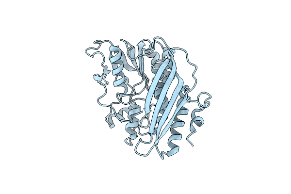 2Z1T image