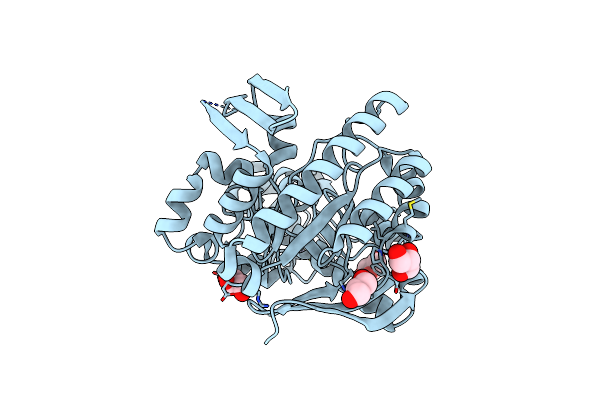 2Z1V image