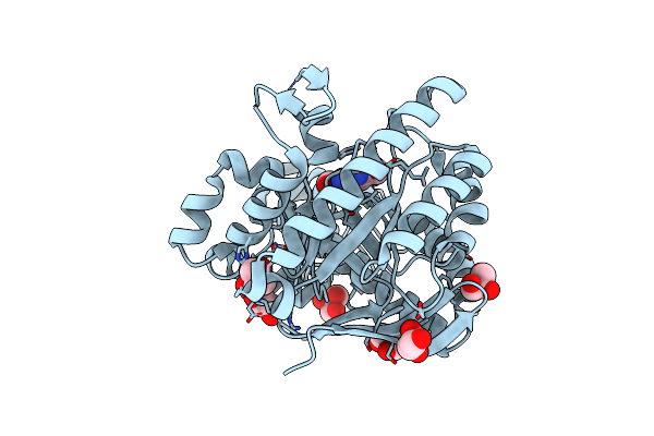 2Z1X image