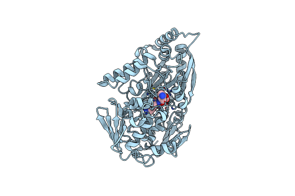 2Z23 image