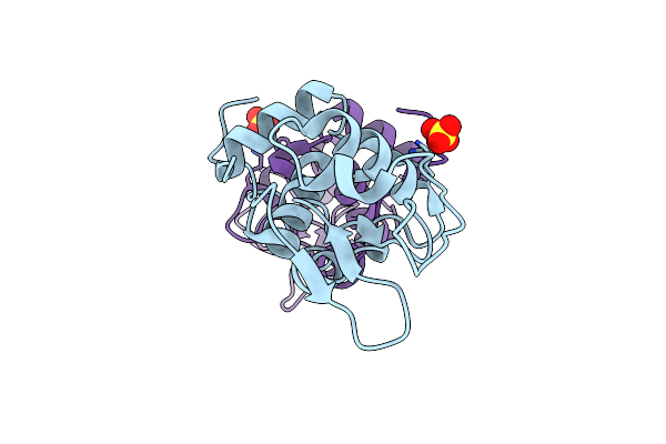 2Z2E image