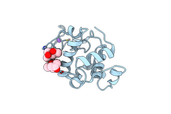 2Z2F image