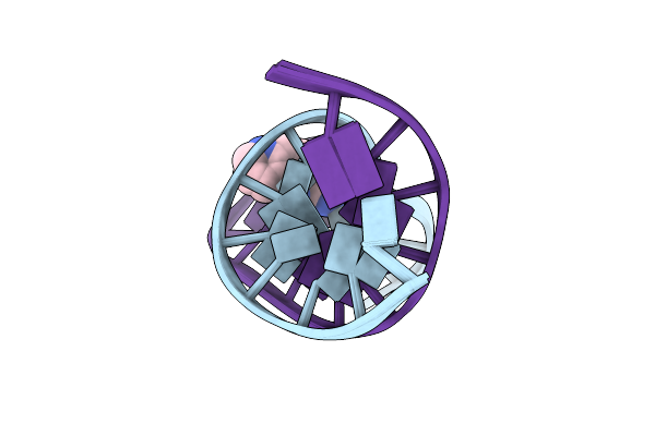 2Z2G image